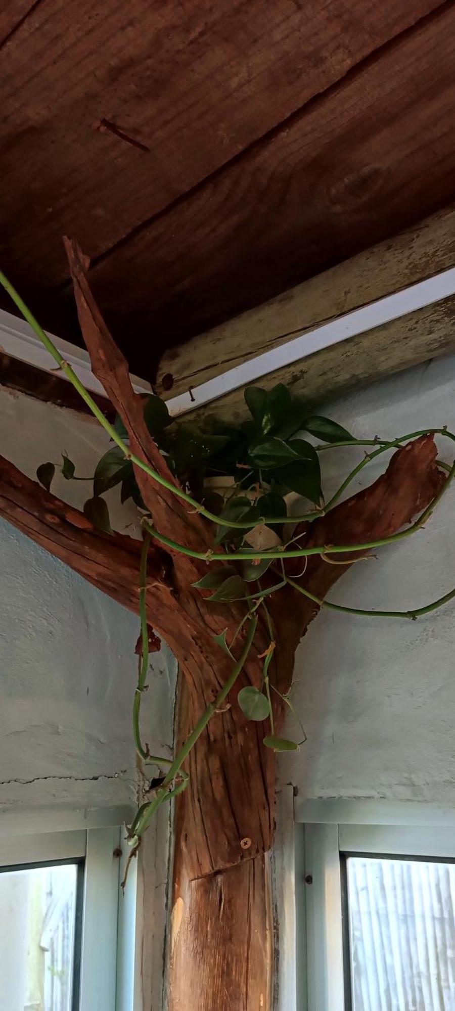 Los Diablitos Punta Del Diablo Zewnętrze zdjęcie