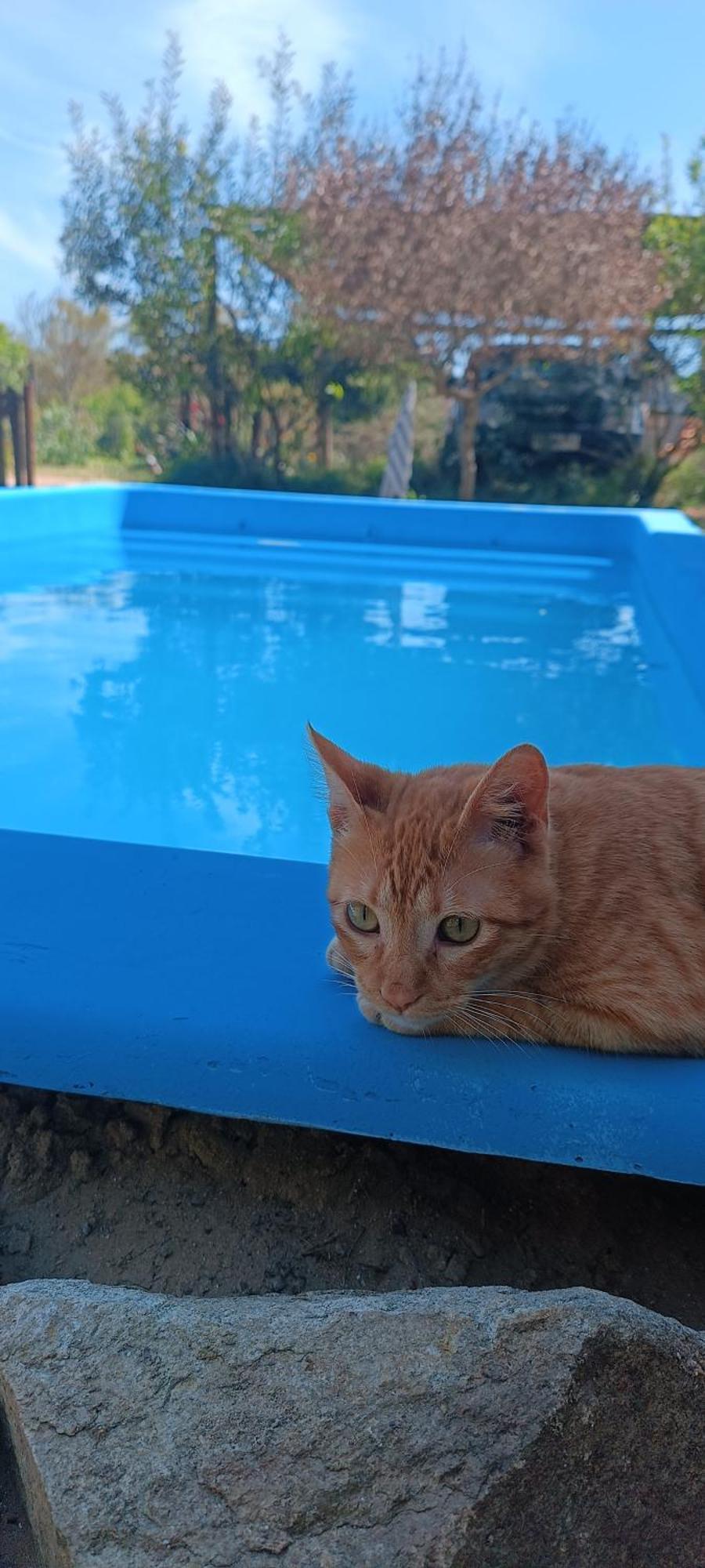 Los Diablitos Punta Del Diablo Zewnętrze zdjęcie